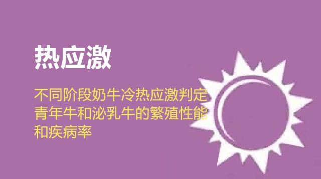 第08节 不同阶段奶牛冷热应激判定：2、青年牛和泌乳牛的繁殖性能和疾病率-徐明