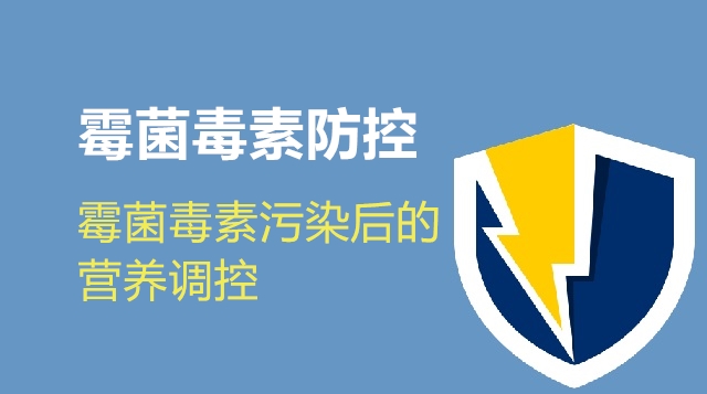 霉菌毒素污染后的营养调控-印遇龙