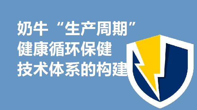 奶牛“生产周期”健康循环保健技术体系的构建-吴心华